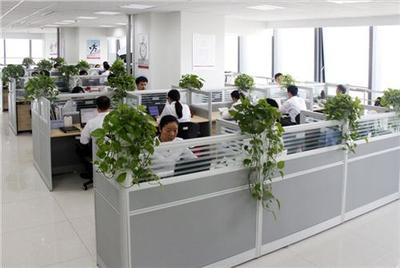 山東正舟 濱州網站制作的專業技術咨詢與方案制定